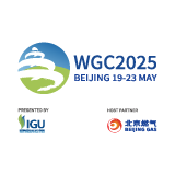 29th World Gas Conference Wgc2025 