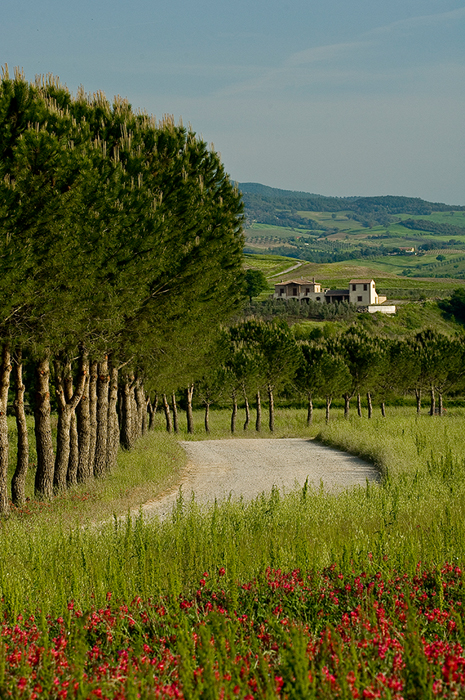 Photography in Tuscany