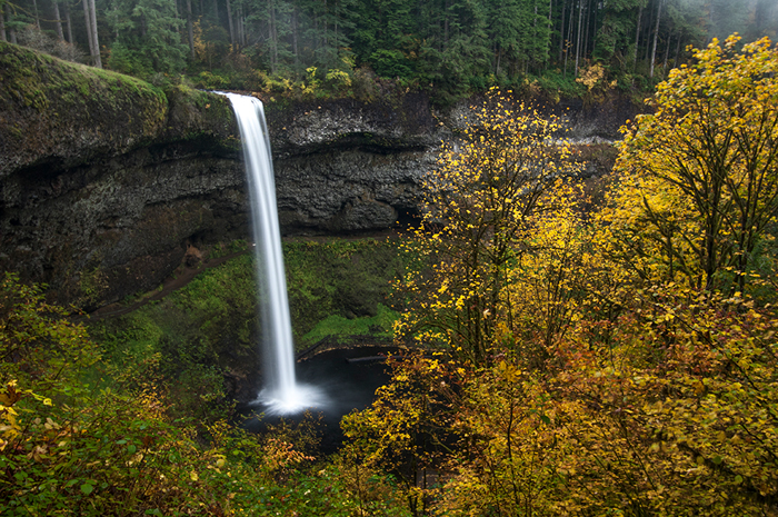 Photography in Silver Falls State Park