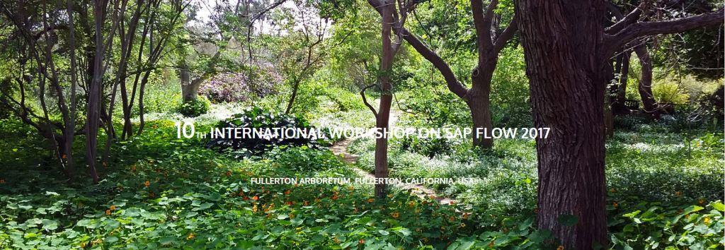 10th International Workshop on Sap Flow 2017