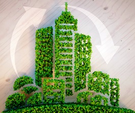 Building Business Sustainability